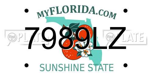 7989LZ Florida License Plate