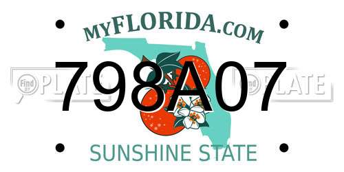 798A07 Florida License Plate