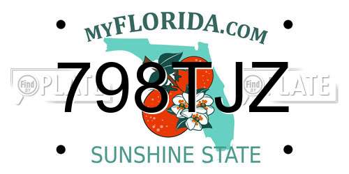 798TJZ Florida License Plate