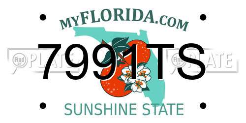 7991TS Florida License Plate
