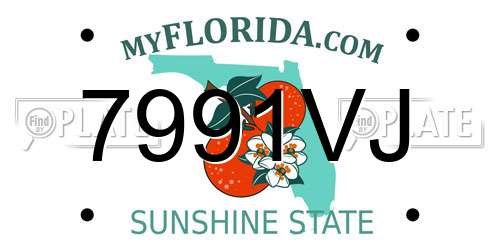 7991VJ Florida License Plate