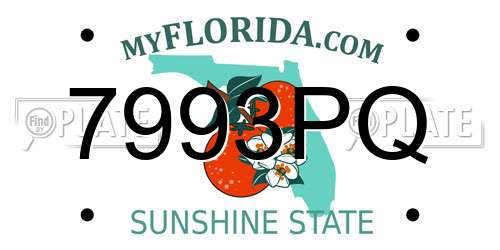 7993PQ Florida License Plate