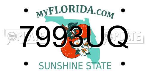 7993UQ Florida License Plate
