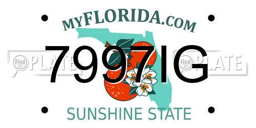 7997IG Florida License Plate