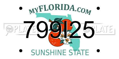 799I25 Florida License Plate