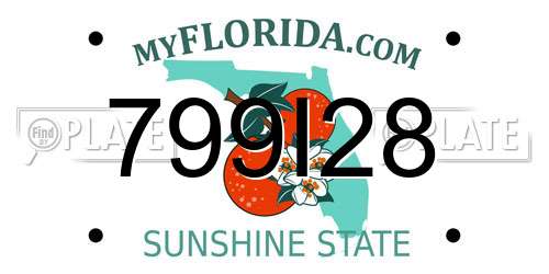799I28 Florida License Plate