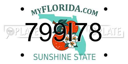 799I78 Florida License Plate