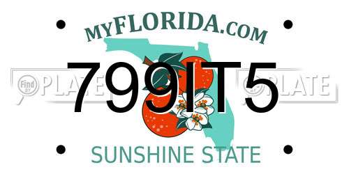 799IT5 Florida License Plate