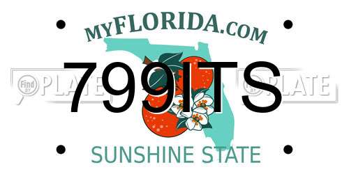 799ITS Florida License Plate