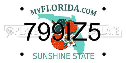 799IZ5 Florida License Plate