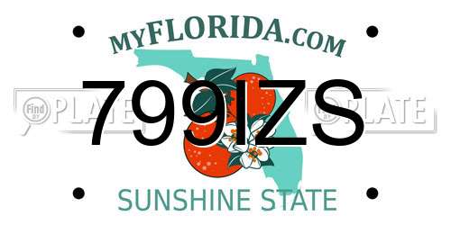 799IZS Florida License Plate