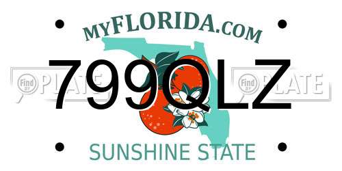 799QLZ Florida License Plate