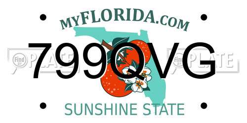 799QVG Florida License Plate