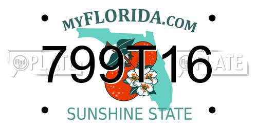 799T16 Florida License Plate