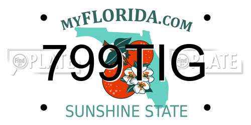 799TIG Florida License Plate
