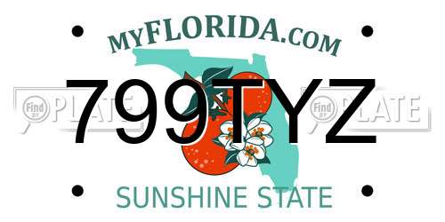 799TYZ Florida License Plate