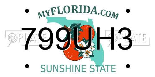 799UH3 Florida License Plate