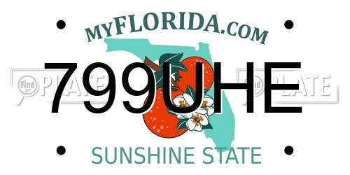 799UHE Florida License Plate