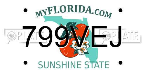 799VEJ Florida License Plate