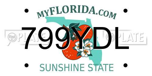 799YDL Florida License Plate