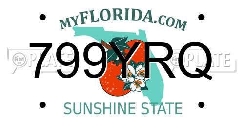 799YRQ Florida License Plate