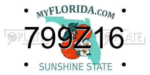 799Z16 Florida License Plate