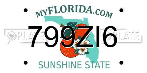799ZI6 Florida License Plate