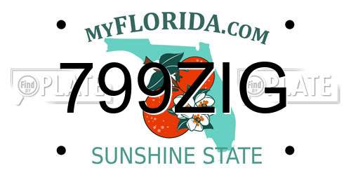799ZIG Florida License Plate