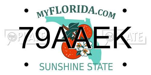 79AAEK Florida License Plate