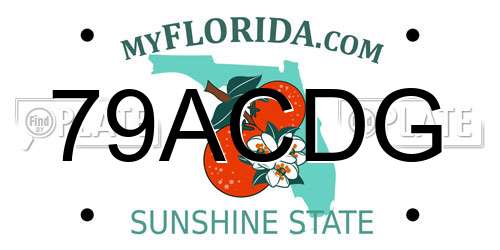 79ACDG Florida License Plate