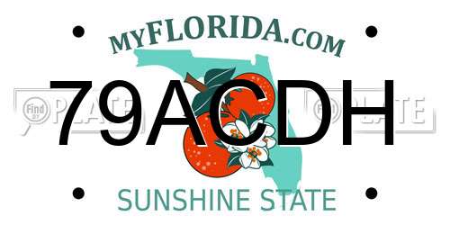79ACDH Florida License Plate