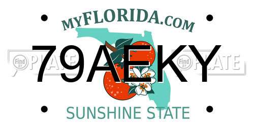 79AEKY Florida License Plate