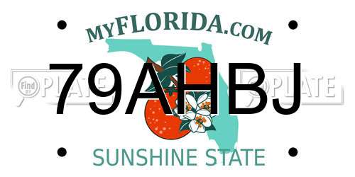 79AHBJ Florida License Plate