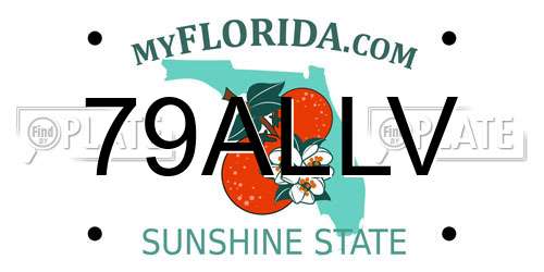 79ALLV Florida License Plate