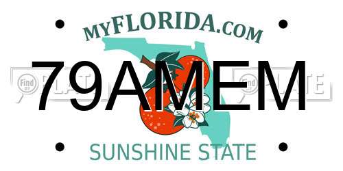 79AMEM Florida License Plate