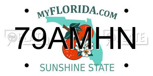 79AMHN Florida License Plate
