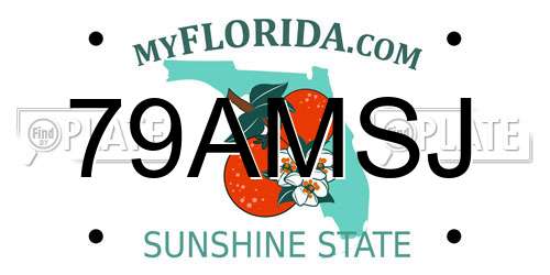 79AMSJ Florida License Plate