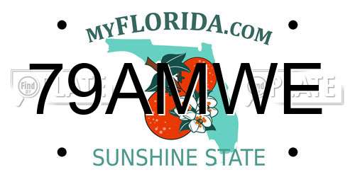 79AMWE Florida License Plate