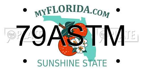 79ASTM Florida License Plate