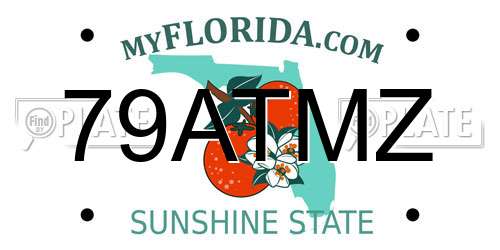 79ATMZ Florida License Plate