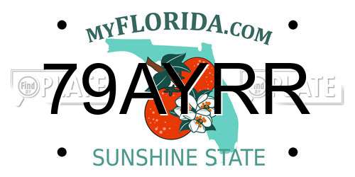 79AYRR Florida License Plate