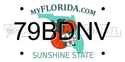 79BDNV Florida License Plate