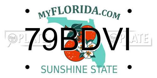 79BDVI Florida License Plate