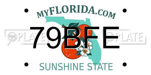 79BFE Florida License Plate