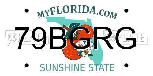 79BGRG Florida License Plate