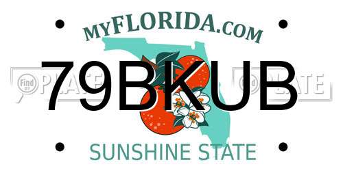 79BKUB Florida License Plate