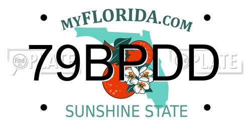 79BPDD Florida License Plate