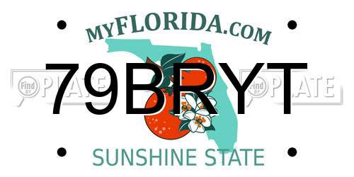 79BRYT Florida License Plate