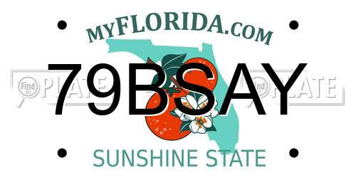 79BSAY Florida License Plate