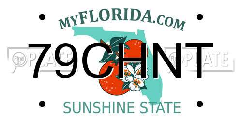 79CHNT Florida License Plate